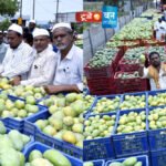 नांदेड फ्रूट मार्केटमध्ये कच्च्या आंब्याची मोठ्या प्रमाणावर आवक